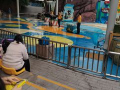 -海合安成都极地海洋公园