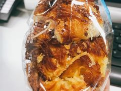 -蒲公英(五里店)