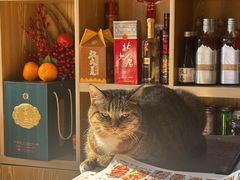 -黑土人家(江桥万达广场店)