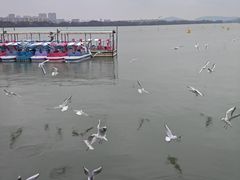 -蠡湖大桥公园