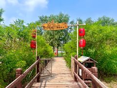 -西青郊野公园