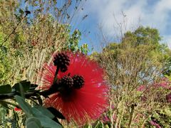-中国科学院西双版纳热带植物园