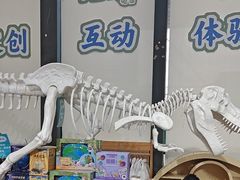 -安徽省地质博物馆