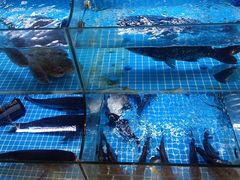 -吴掌柜·藕汤印象(南湖店)