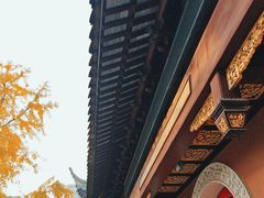 -上海白云观