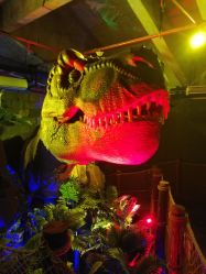 -恐龙探索乐园(磁器口店)