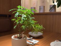 -CURRY YA 熟成咖哩專門店(深圳湾万象城店)