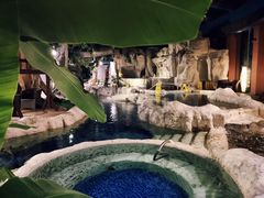 -中铁花水湾温泉酒店(大邑店)