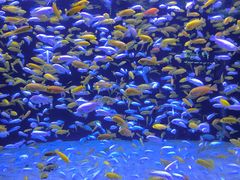 -成都浩海立方海洋公园