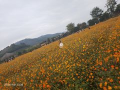-杭州乐园