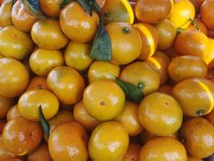 -三旗百汇商品城