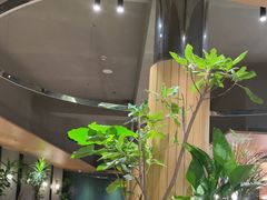 -gaga(深圳京基KKMALL店)