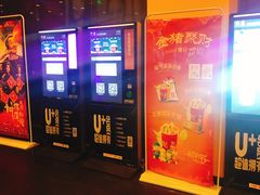 -大地影院(雅安灯塔魅力印象店)