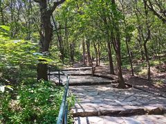 -阳台山自然风景区