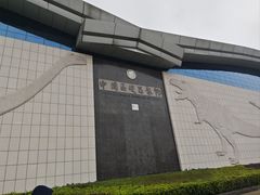-中国西峡恐龙遗迹园