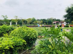 -广东花都香草世界旅游度假区