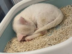 -昆山招商花园城