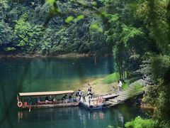 -鼎湖山风景区