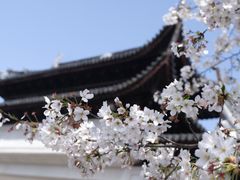 -苏州上方山国家森林公园