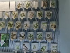 -浙江自然博物院(杭州馆)