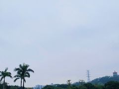 -紫马岭公园