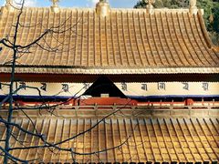 -塔尔寺