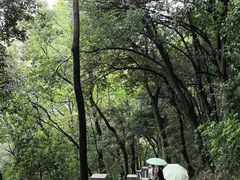 -灵顺寺