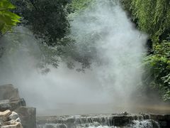 -北京西山国家森林公园