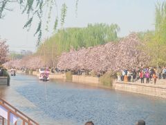 -元大都城垣遗址公园