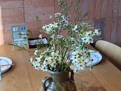 -一坐一忘云南菜(三里屯店)