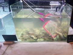 -长沙三景韦尔斯利酒店·Oval全日制餐厅自助餐