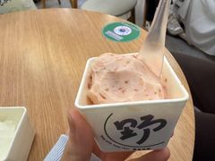 -野人先生Gelato(上海长宁龙之梦店)
