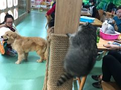 -藦茜花园宠物主题亲子互动体验馆(国顺东路店)