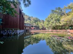 -野象谷景区