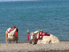 -青海湖国家重点风景名胜区