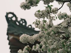 -中山公园