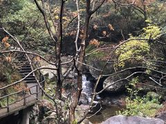 -太湖源风景区