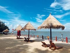 -北海金海湾红树林生态旅游区