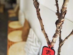 -red donkey coffee