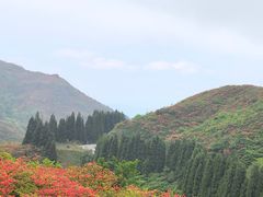 -大围山国家森林公园