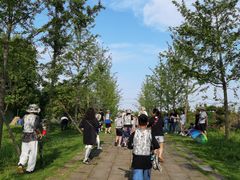 -梁子湖东篱老屋生态庄园