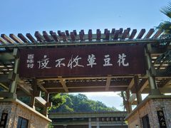 -夜不收荤豆花(大邑总店)