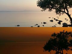 -深圳湾公园(南山区)