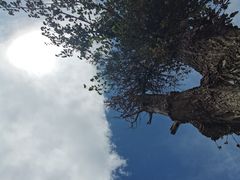 -丽江泸沽湖景区