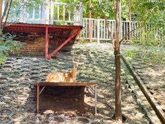 -北京鹿世界主题园