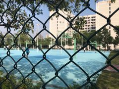 -顺德职业技术大学