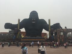 -太阳部落