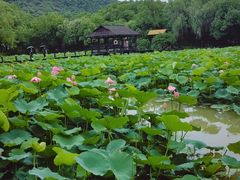 -兰亭风景区