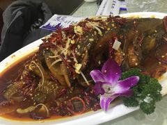 -杨记小骨头羊杂馆(南五马路店)