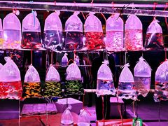 -华声天桥民俗文化园